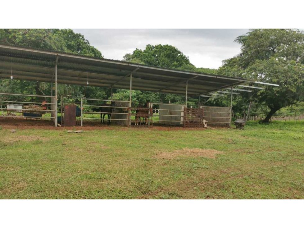 VENDO FINCA DE 73 HECTAREAS CON EQUIPOS DE LECHERIA SAN JUAN - 6