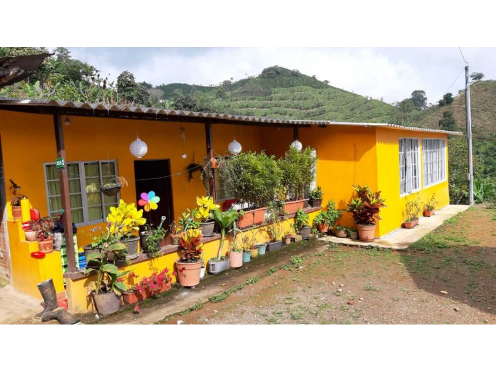 VENDO FINCA DE 4 HECTÁREAS CORREGIMIENTO EL ESPAÑOL SANTA ROSA