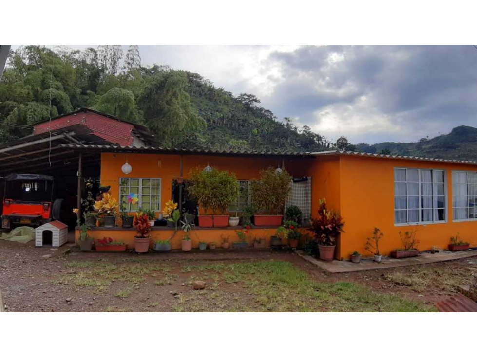 VENDO FINCA DE 4 HECTÁREAS CORREGIMIENTO EL ESPAÑOL SANTA ROSA — foto 2