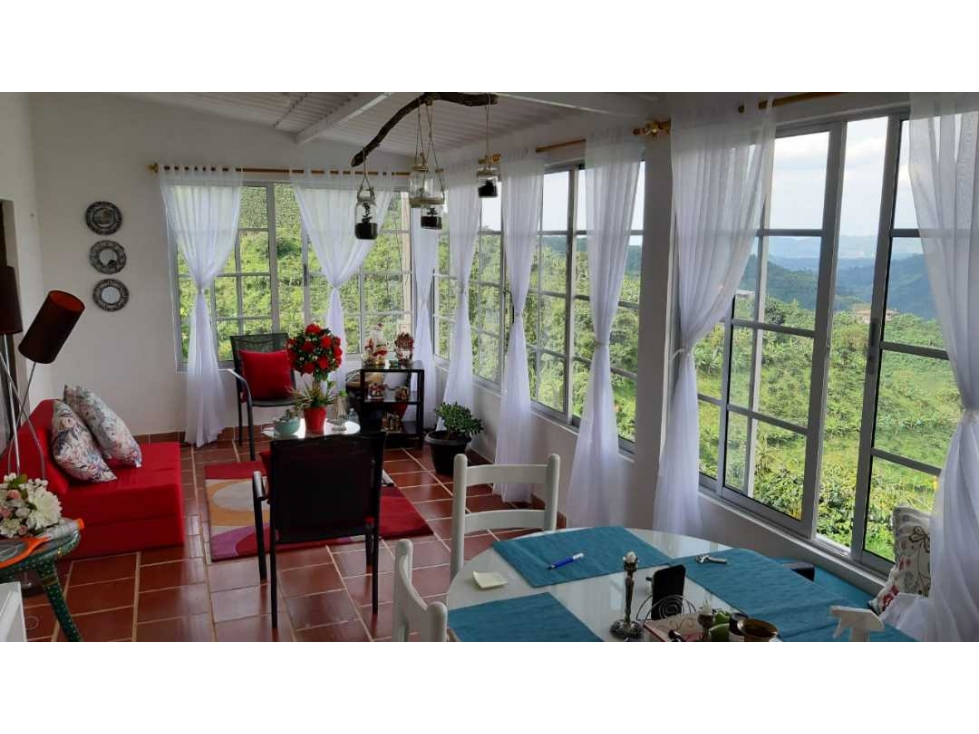 VENDO FINCA DE 4 HECTÁREAS CORREGIMIENTO EL ESPAÑOL SANTA ROSA — foto 3