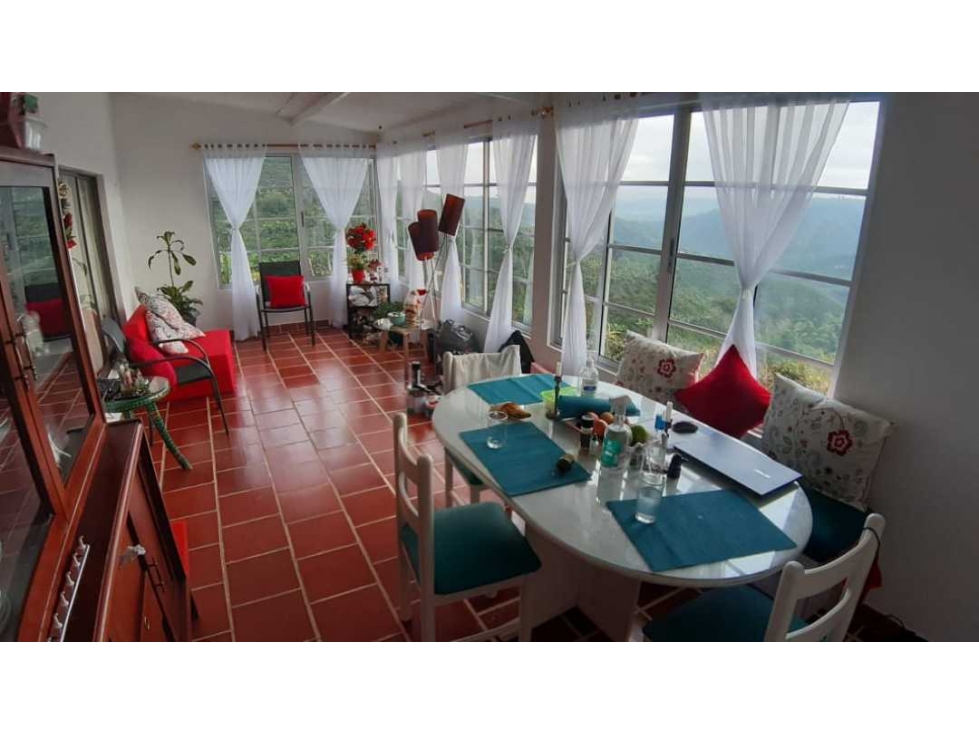 VENDO FINCA DE 4 HECTÁREAS CORREGIMIENTO EL ESPAÑOL SANTA ROSA — foto 4