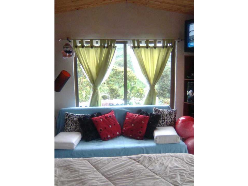 VENDO FINCA DE 4 HECTÁREAS CORREGIMIENTO EL ESPAÑOL SANTA ROSA — foto 5
