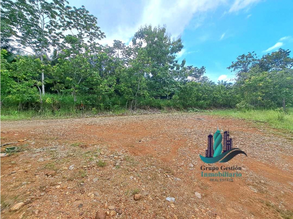 VENDO FINCA DE 88HA HORCONCITOS - 2