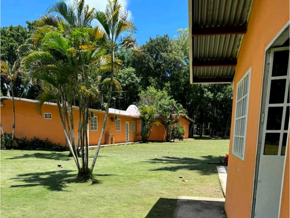 VENDO FINCA DE 8 HECTAREAS EN RIO HATO 100% PLANAS - 2