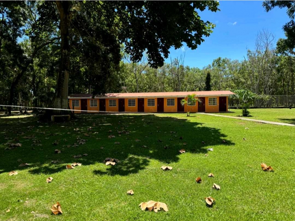 VENDO FINCA DE 8 HECTAREAS EN RIO HATO 100% PLANAS - 3