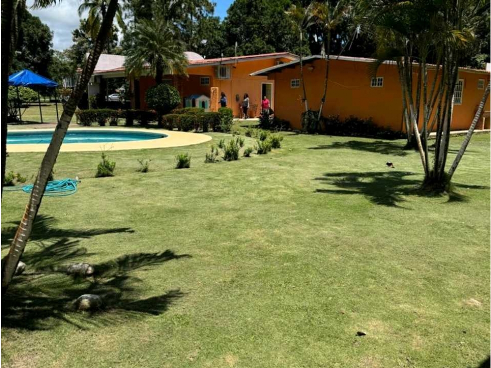 VENDO FINCA DE 8 HECTAREAS EN RIO HATO 100% PLANAS - 4