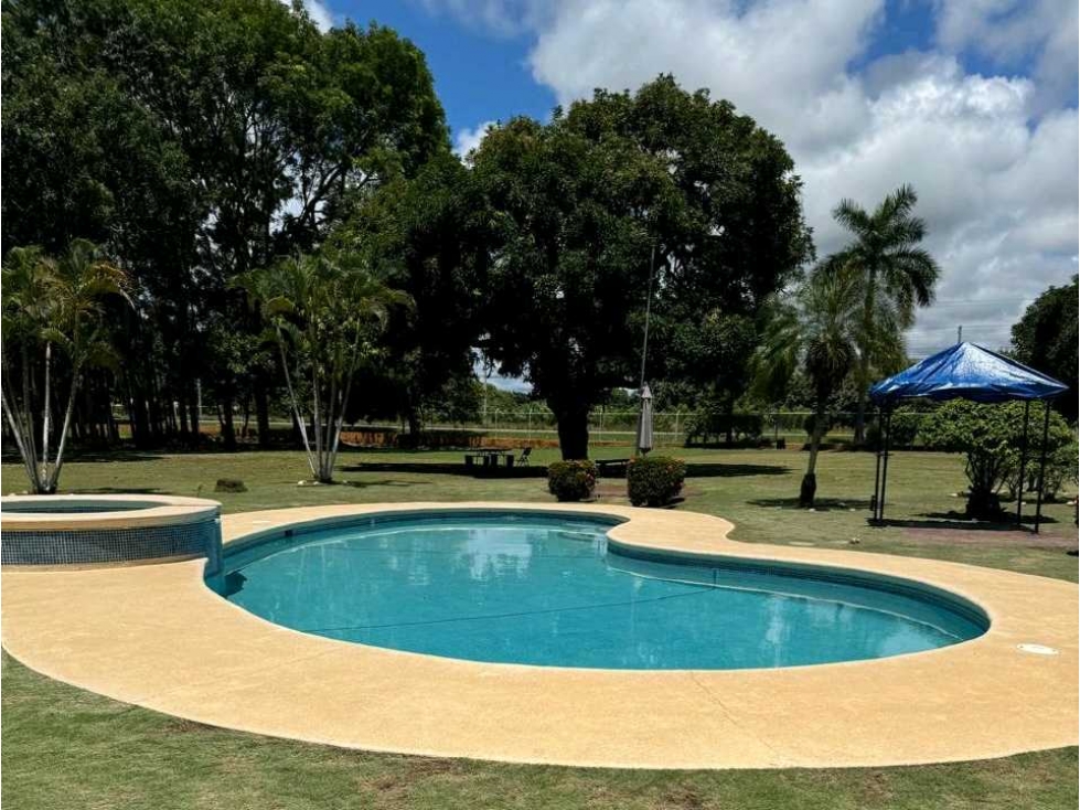 VENDO FINCA DE 8 HECTAREAS EN RIO HATO 100% PLANAS - 5