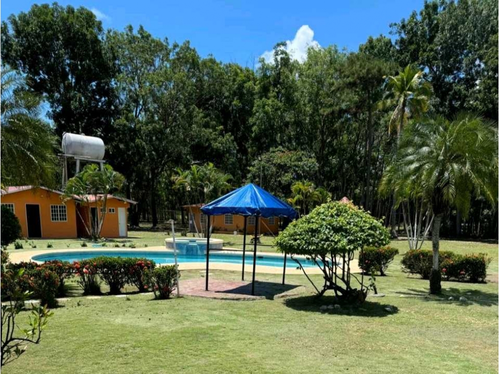 VENDO FINCA DE 8 HECTAREAS EN RIO HATO 100% PLANAS - 6