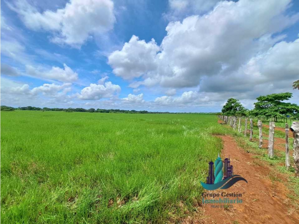 VENDO FINCA DE 9HECTAREAS TOP PLANAS - 1