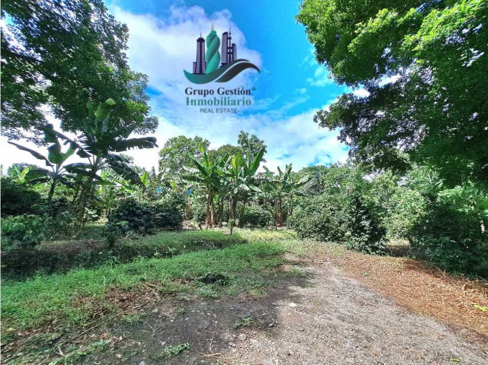 VENDO FINCA DE CAFE Y GANADERIA 118 Hectareas - 5