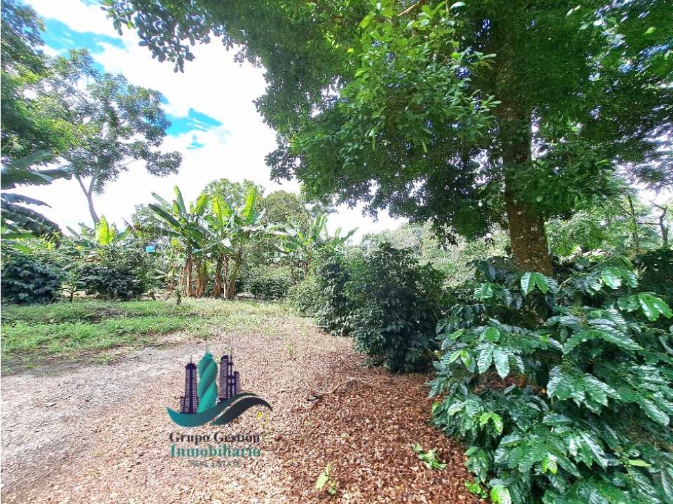 VENDO FINCA DE CAFE Y GANADERIA 118 Hectareas - 6