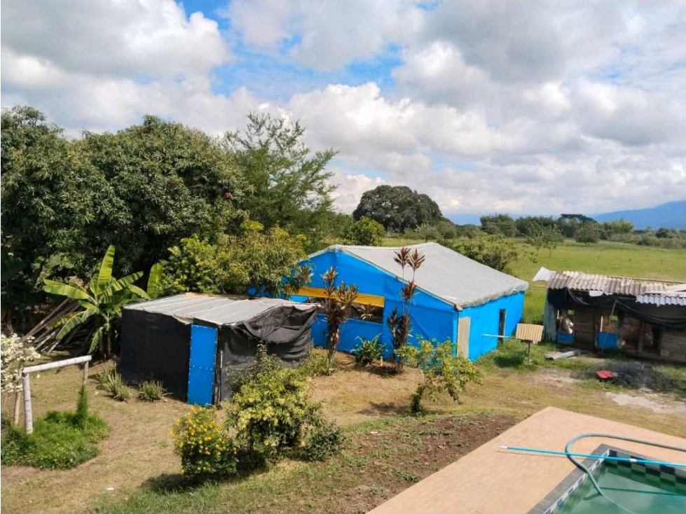 Vendo finca de producion y descanso en caloto departamento del cauca - 3