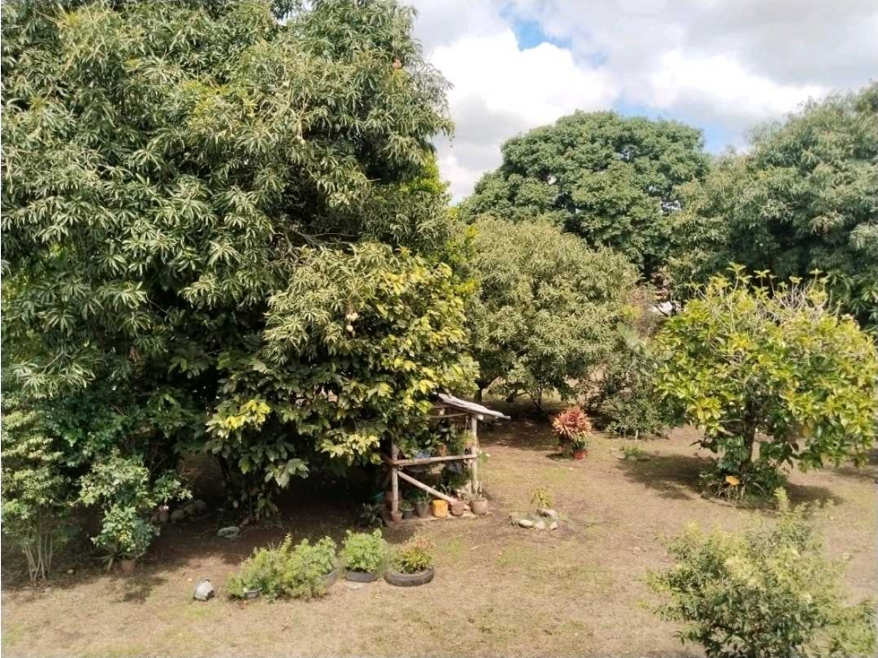 Vendo finca de producion y descanso en caloto departamento del cauca - 5