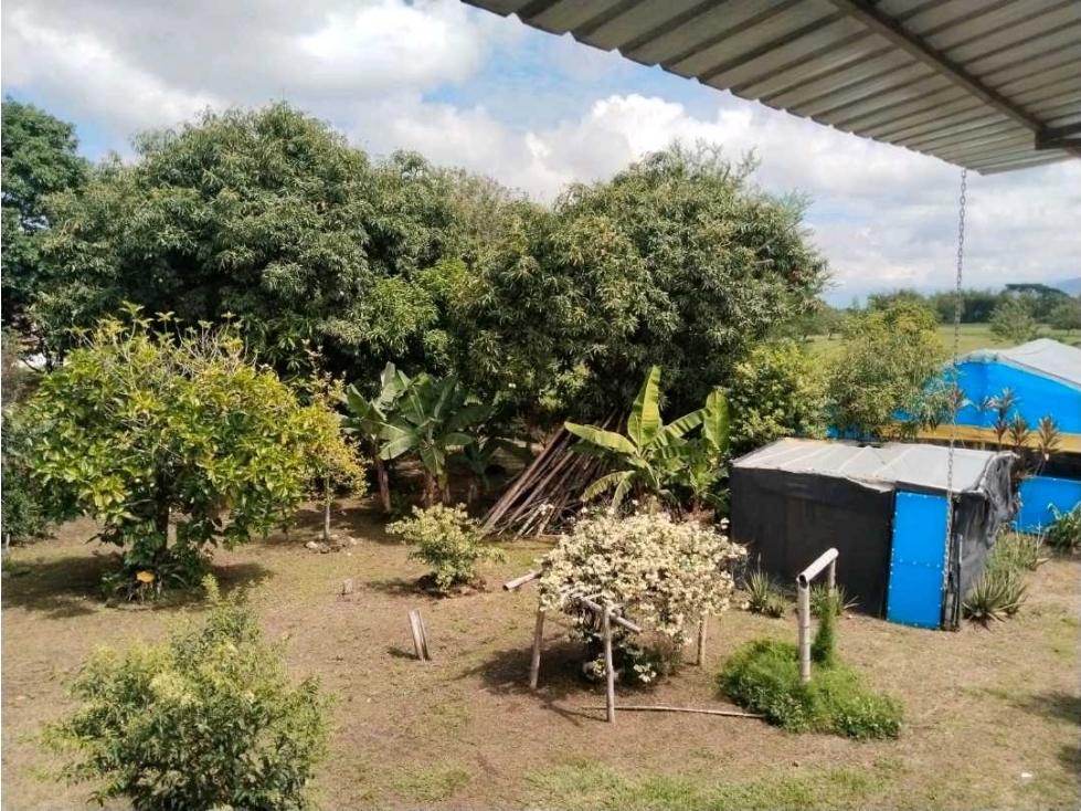 Vendo finca de producion y descanso en caloto departamento del cauca - 6