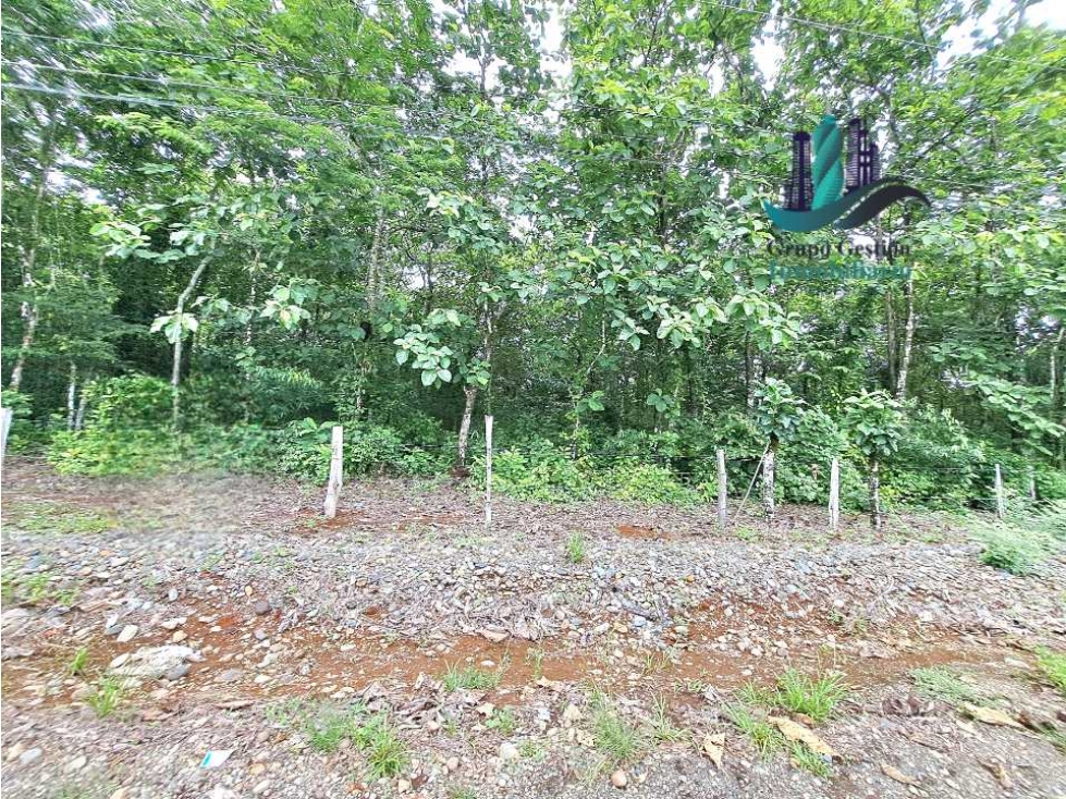 VENDO FINCA DE SIETE HECTAREAS LAJAS - 2