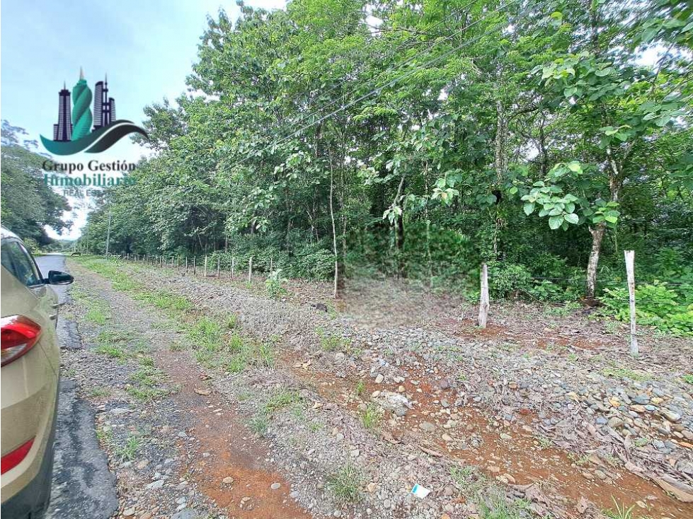 VENDO FINCA DE SIETE HECTAREAS LAJAS - 3