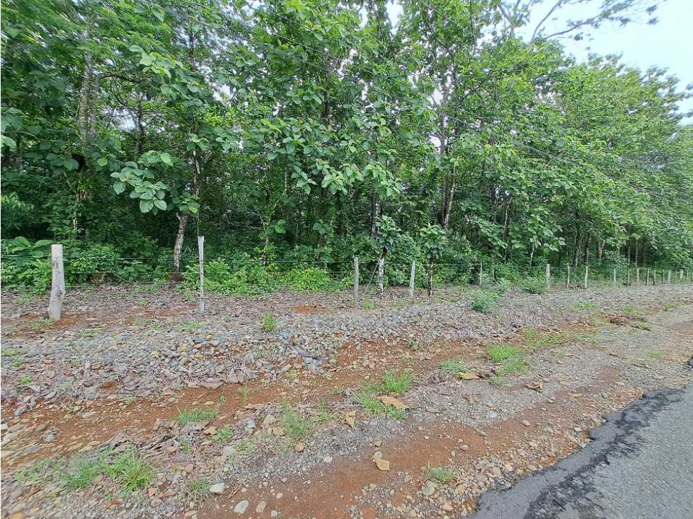 VENDO FINCA DE SIETE HECTAREAS LAJAS - 4