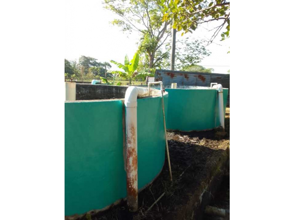 VENDO TERRENO PARA TILAPIA EN BUGABA - 4