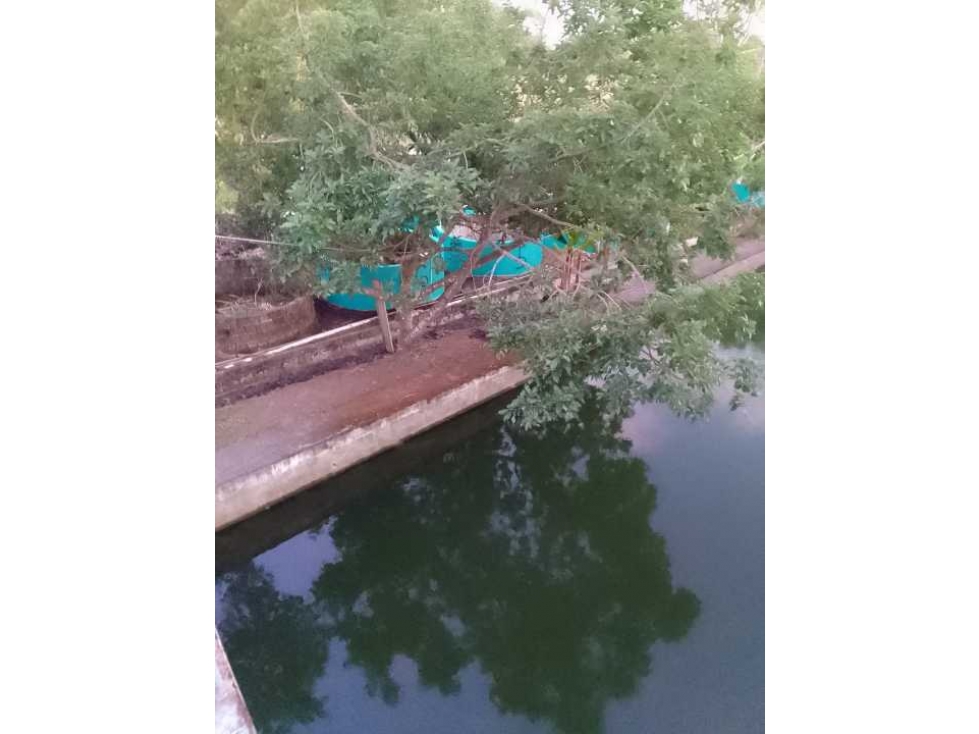 VENDO TERRENO PARA TILAPIA EN BUGABA - 5
