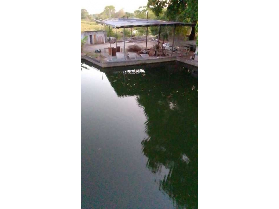 VENDO TERRENO PARA TILAPIA EN BUGABA - 6