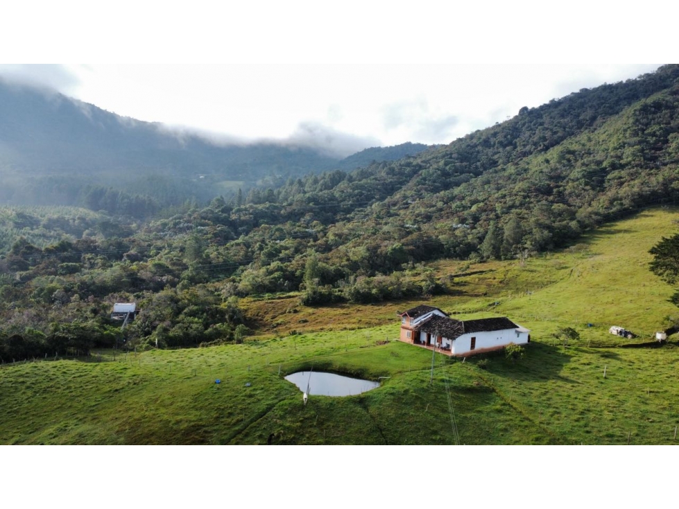 VENDO FINCA - EL CARMEN DE VIBORAL