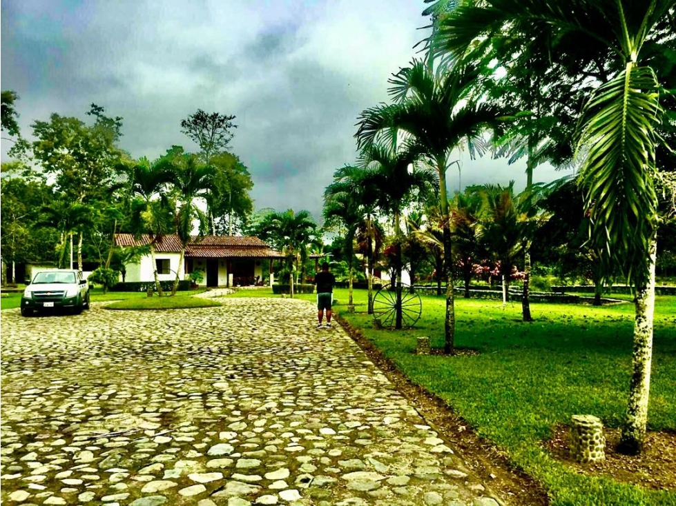 Vendo Finca en Bucay 1 hectárea - 4