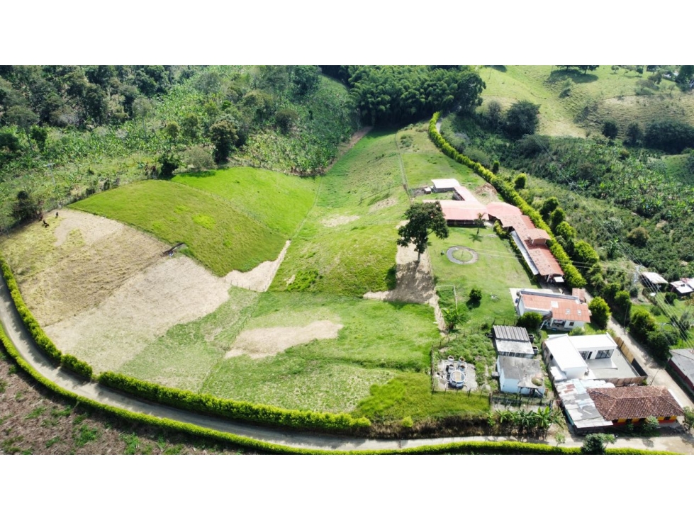 VENDO FINCA EN CIRCASIA QUINDIO