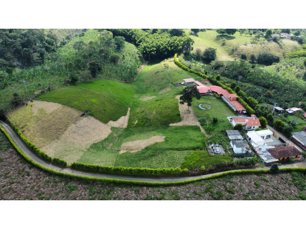 VENDO FINCA EN CIRCASIA QUINDIO — foto 4