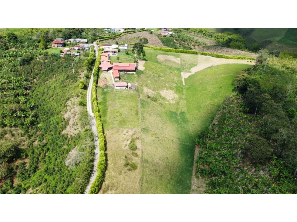 VENDO FINCA EN CIRCASIA QUINDIO — foto 5