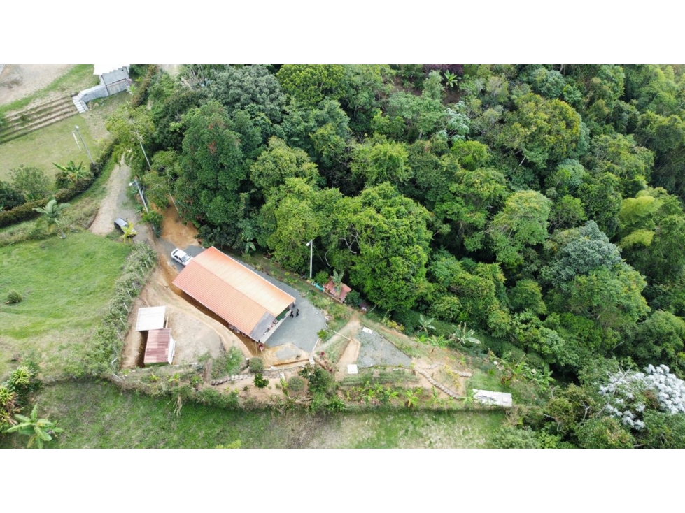 VENDO FINCA EN CONDINA PEREIRA