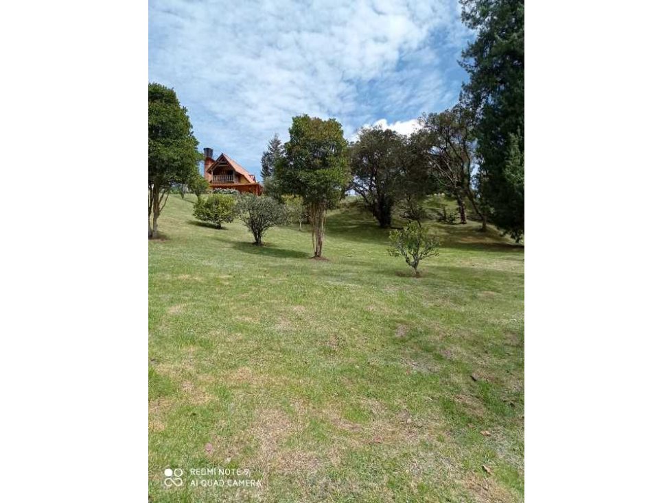 Vendo finca en el Alto de las Palmas — foto 2