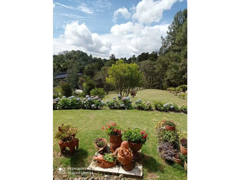 Vendo finca en el Alto de las Palmas — foto 4