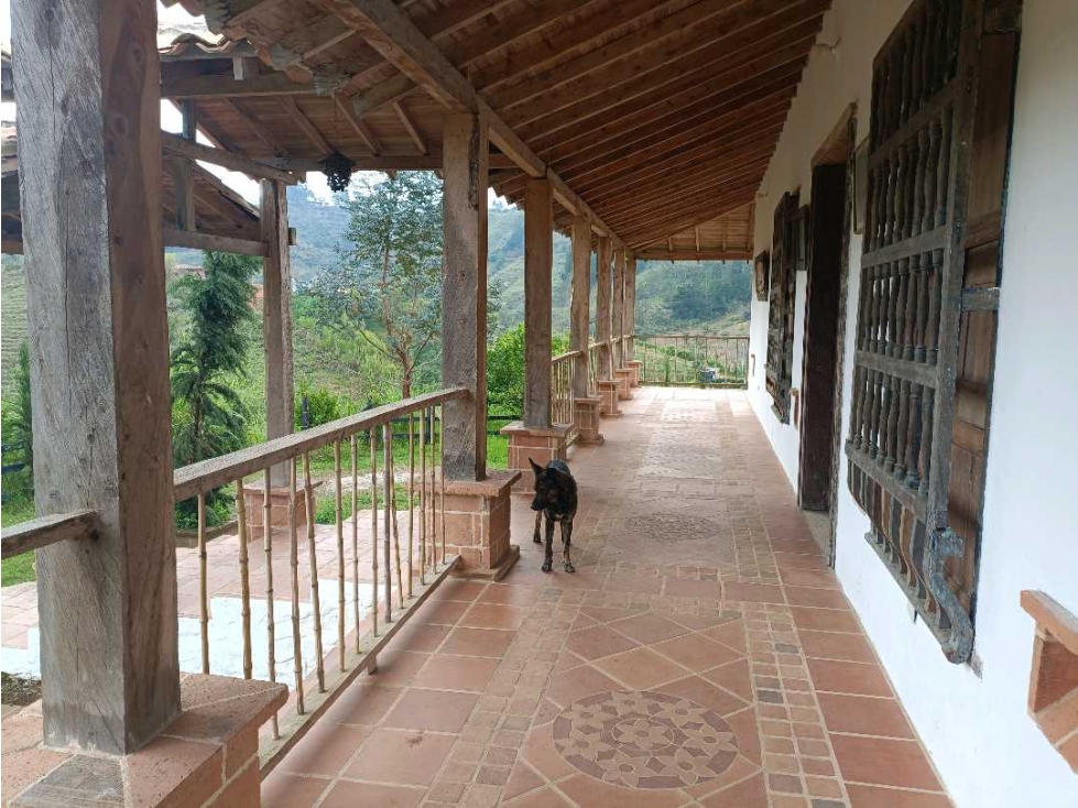Vendo finca en Girardota 11 cuadras . — foto 4