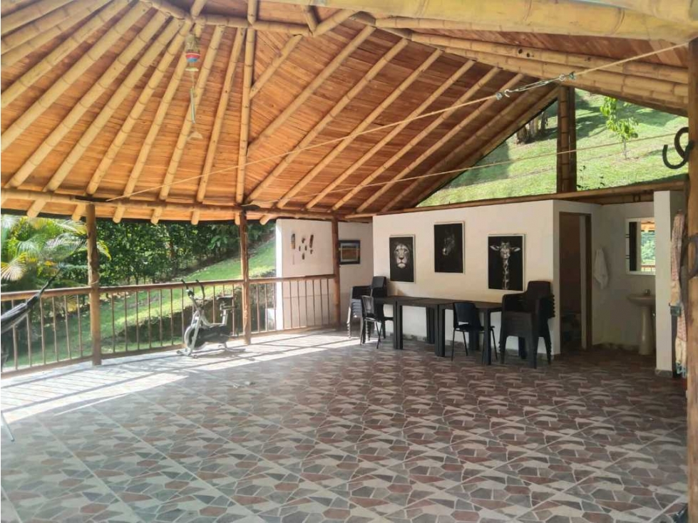 VENDO FINCA EN GIRARDOTA EXCELENTE UBICACION — foto 5