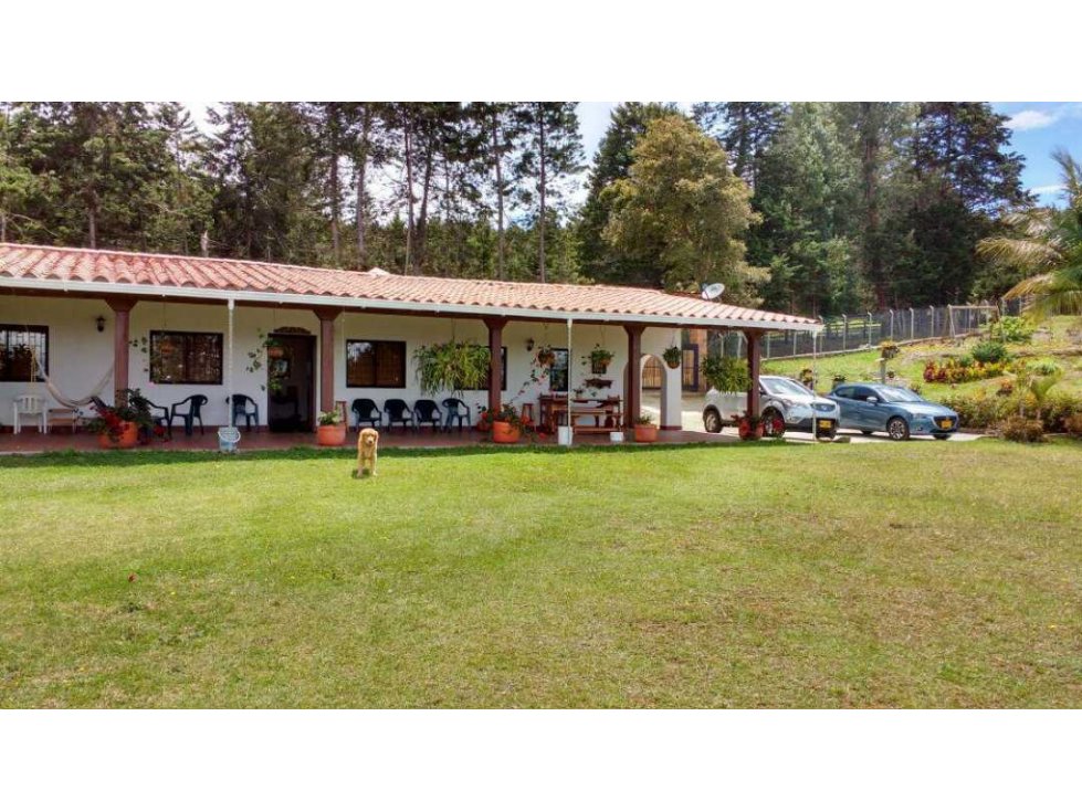 Vendo finca en guarne — foto 3