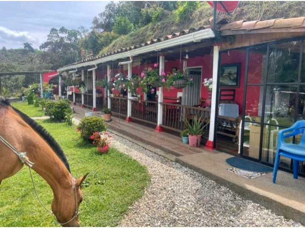 VENDO FINCA EN GUARNE