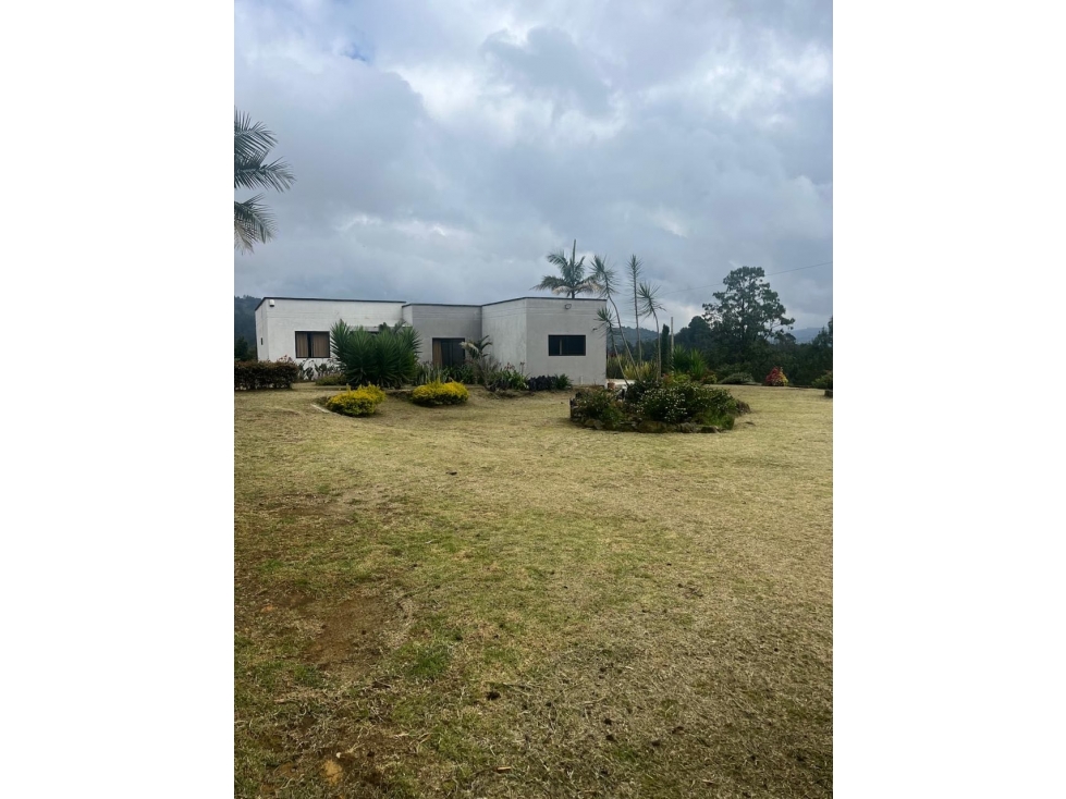 VENDO FINCA EN GUARNE ANTIOQUIA/VEREDA SAN JOSE — foto 2