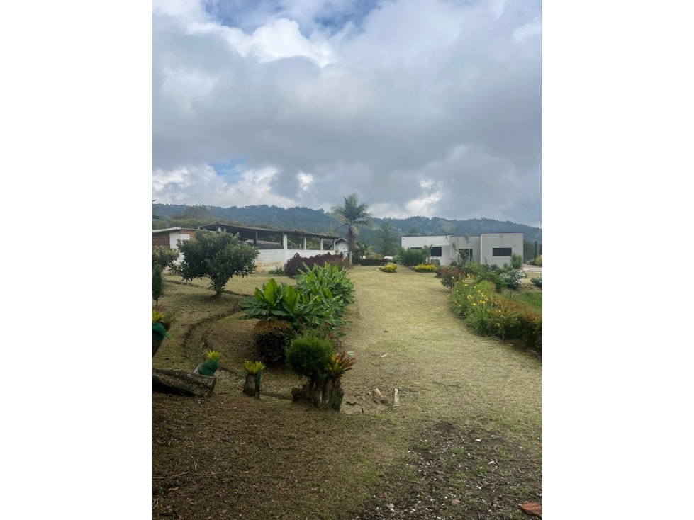VENDO FINCA EN GUARNE ANTIOQUIA/VEREDA SAN JOSE — foto 4