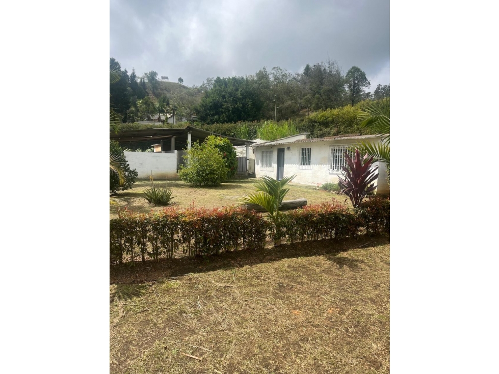 VENDO FINCA EN GUARNE ANTIOQUIA/VEREDA SAN JOSE — foto 5
