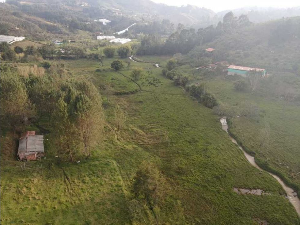 Vendo finca en guarne vereda yolombal