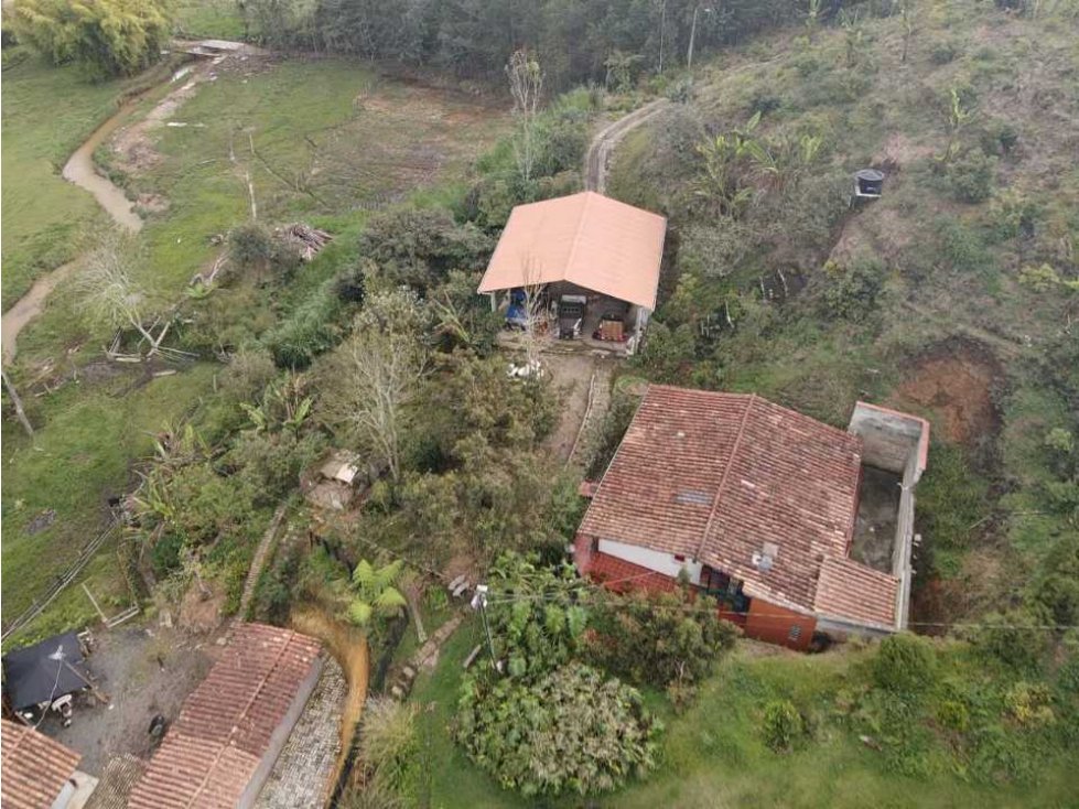 Vendo finca en guarne vereda yolombal — foto 3