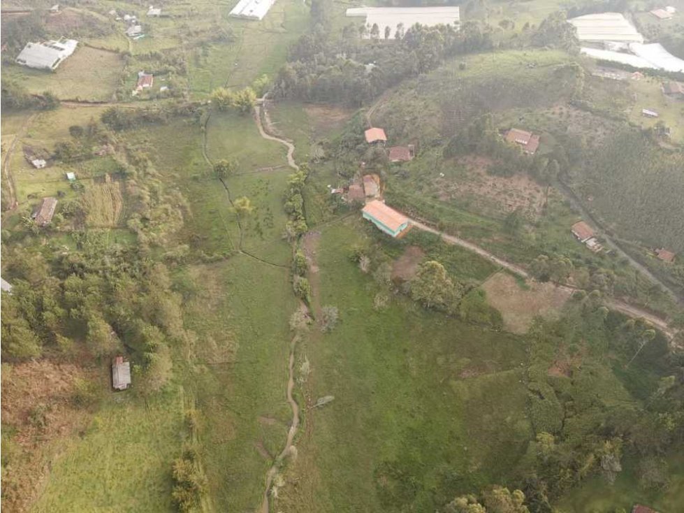 Vendo finca en guarne vereda yolombal — foto 2