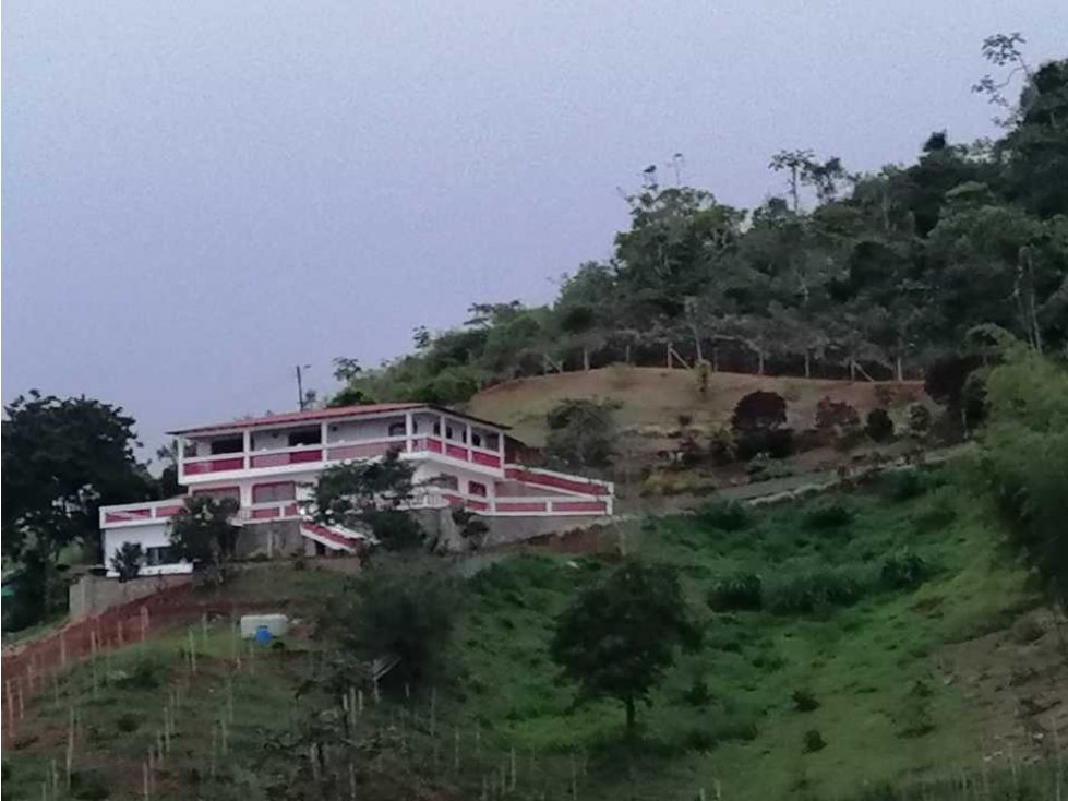 Vendo finca en la cumbre de 2 pisos - 5