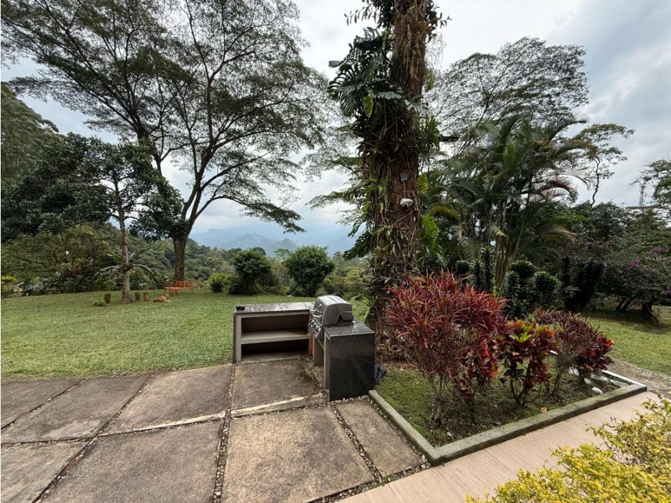 VENDO FINCA EN LA VEGA DE 3.5 HECTÁREAS — foto 3