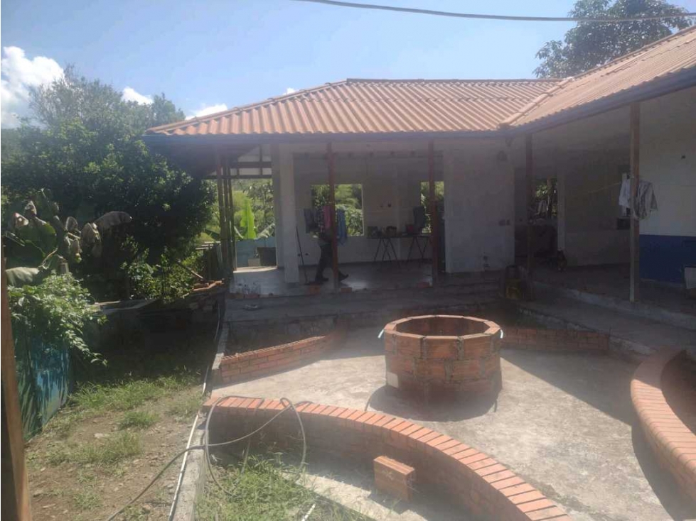 VENDO FINCA EN LA VEREDA EL CHOCHO PEREIRA