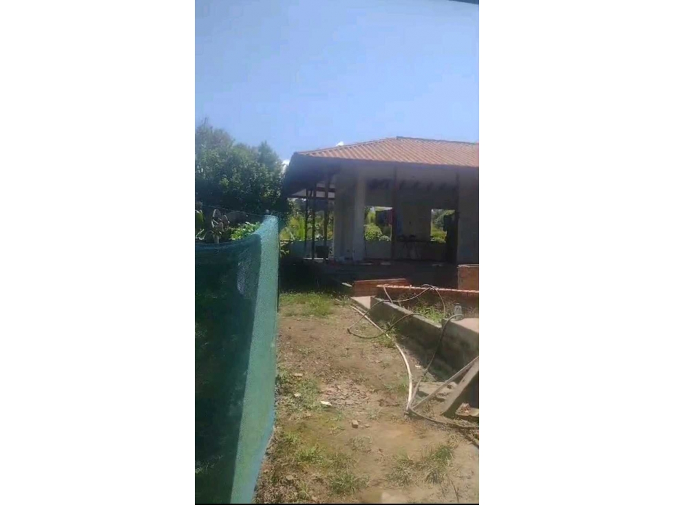 VENDO FINCA EN LA VEREDA EL CHOCHO PEREIRA — foto 3