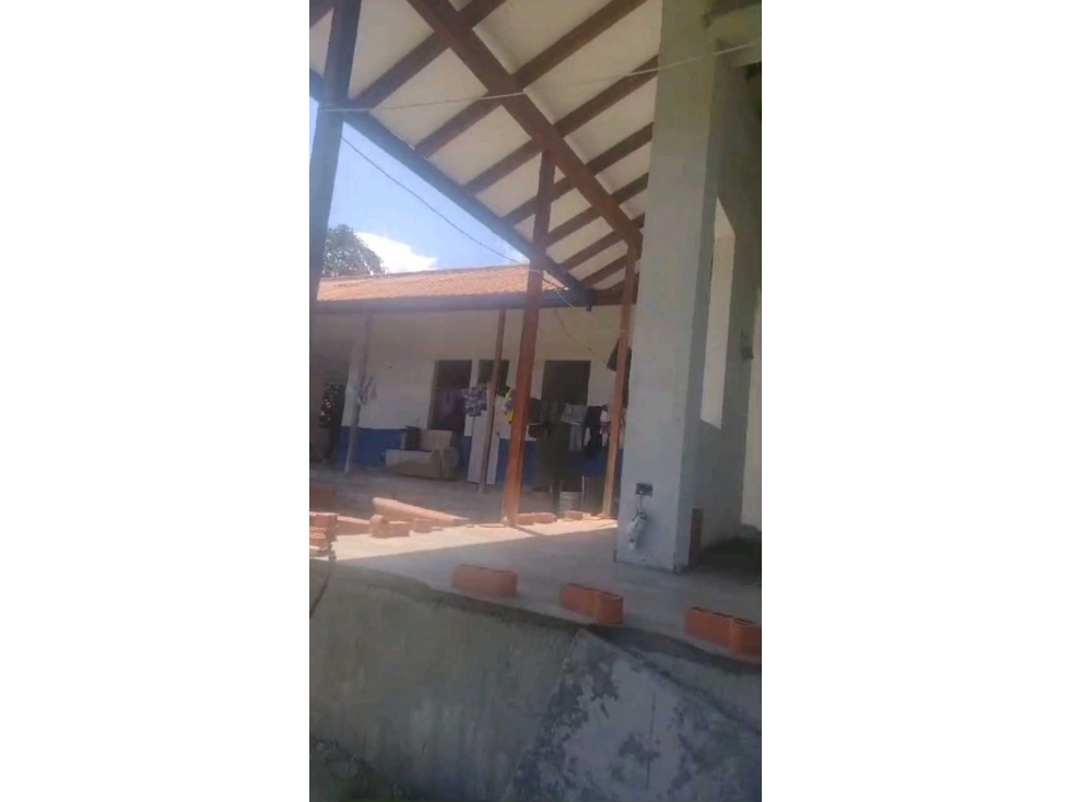 VENDO FINCA EN LA VEREDA EL CHOCHO PEREIRA — foto 5