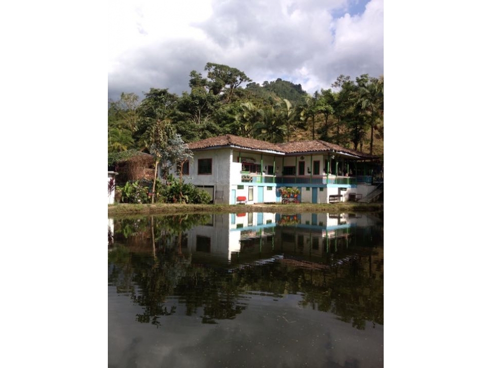 VENDO FINCA EN LA VEREDA EL ESPAÑOL SANTA ROSA DE CABAL - 1