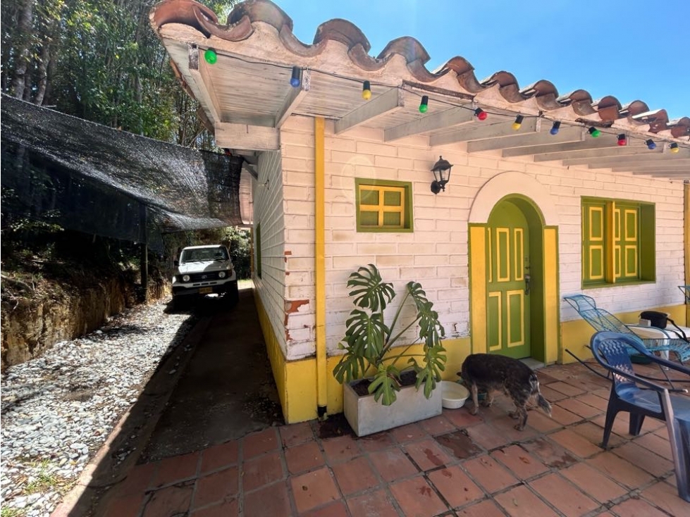 VENDO FINCA EN LA VEREDA HIGUERON LLANO GRANDE, RIONEGRO ANTIOQUIA — foto 3