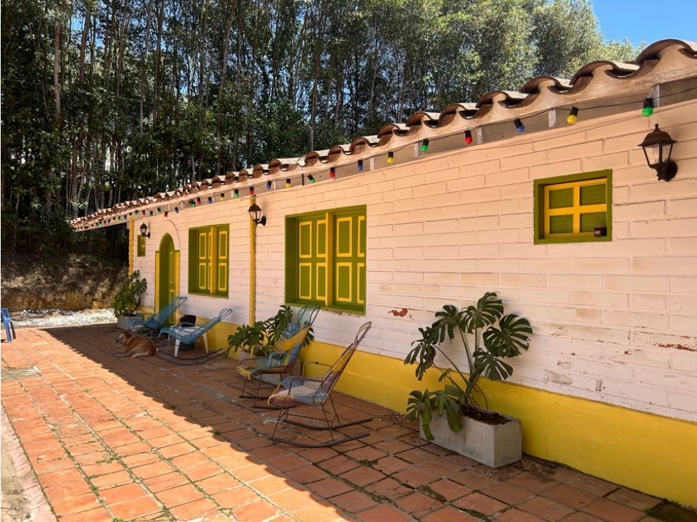 VENDO FINCA EN LA VEREDA HIGUERON LLANO GRANDE, RIONEGRO ANTIOQUIA — foto 5